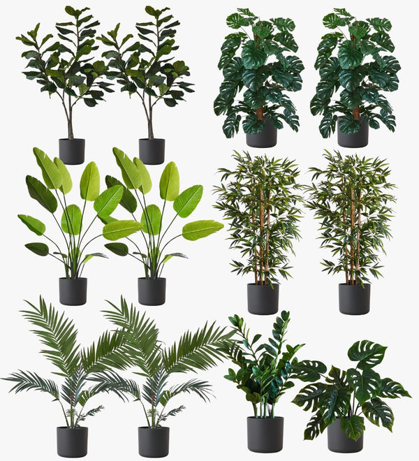 Artificial Graphite XL Bundle