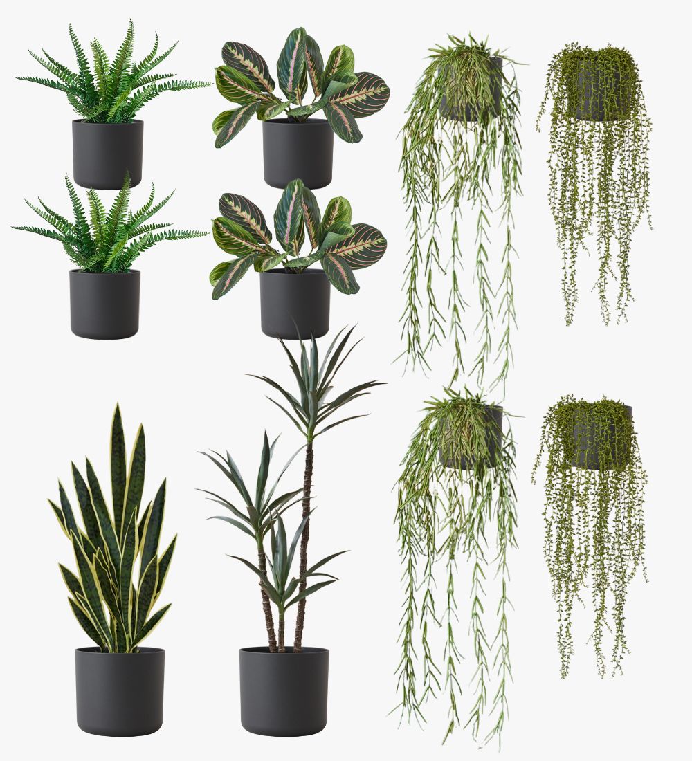 Artificial Graphite XL Bundle