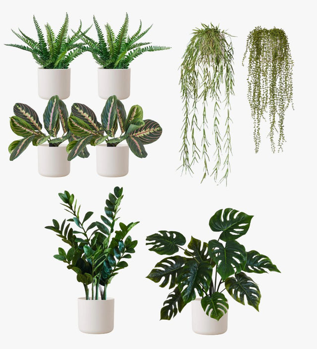 Artificial White Desktop Bundle