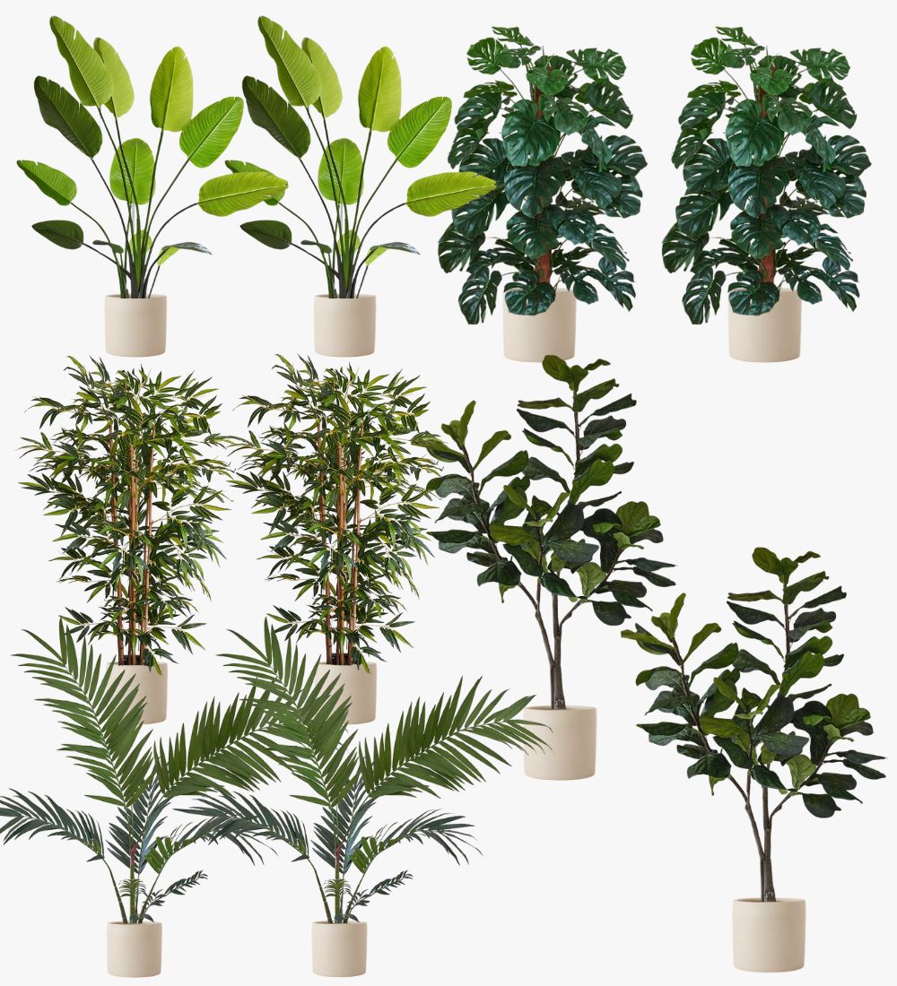 Artificial Oyster Earthenware Large Bundle