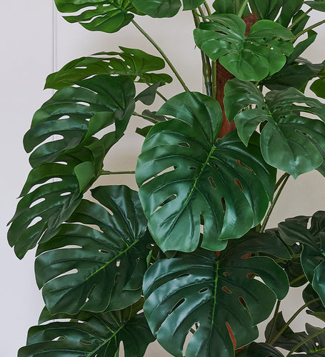 Artificial Bestseller Pair