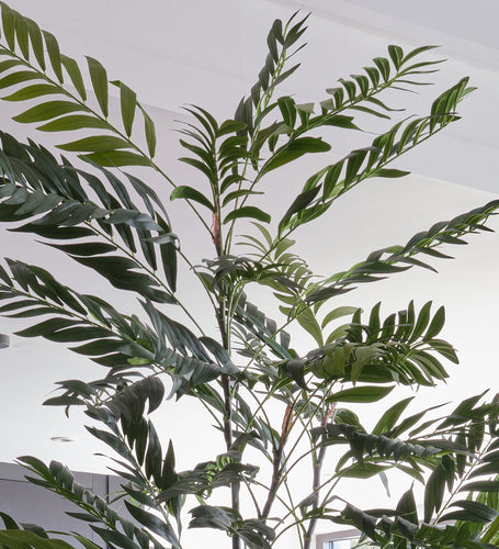 Artificial Bamboo Palm