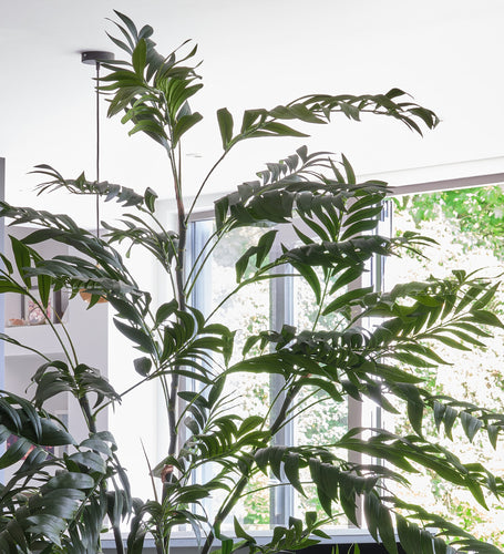 Artificial Bamboo Palm