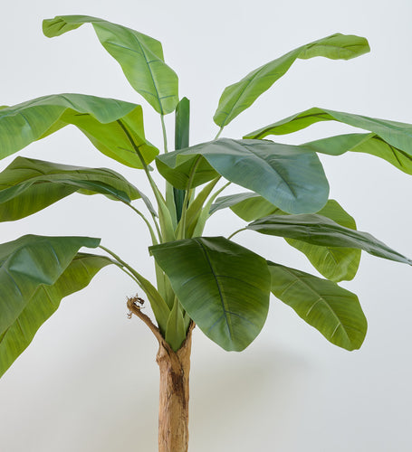Artificial Banana Tree