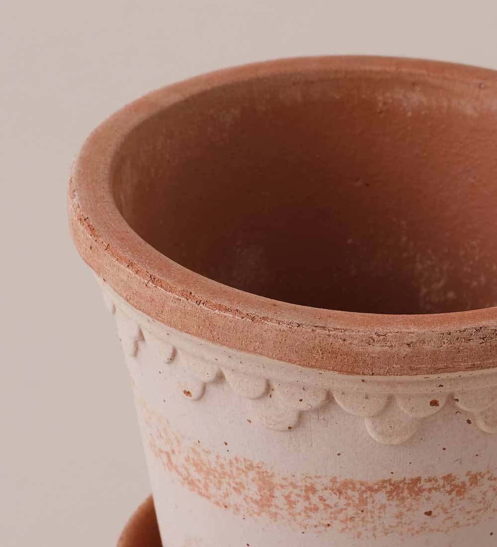 Rose Bergs Pot 12cm