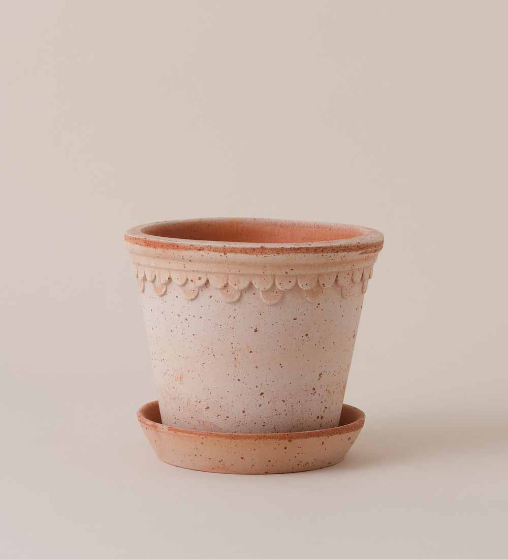 Rose Bergs Pot 16cm