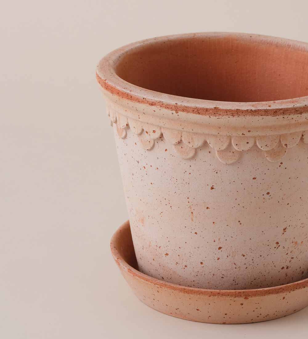 Rose Bergs Pot 16cm