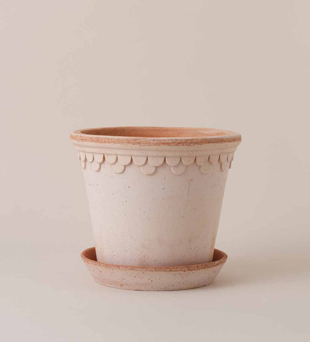 Rose Bergs Pot 21cm
