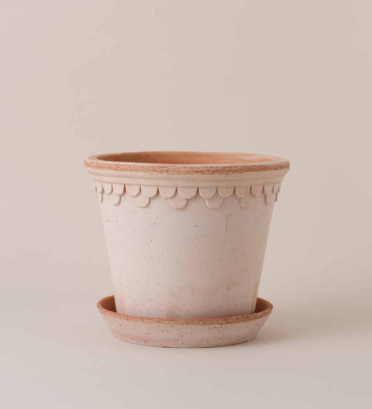Rose Bergs Pot 21cm