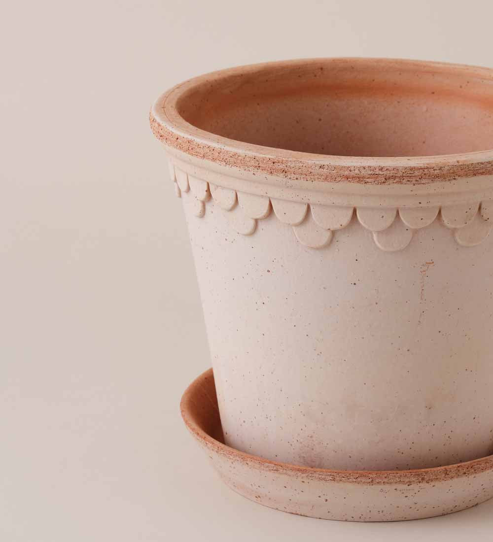 Rose Bergs Pot 21cm