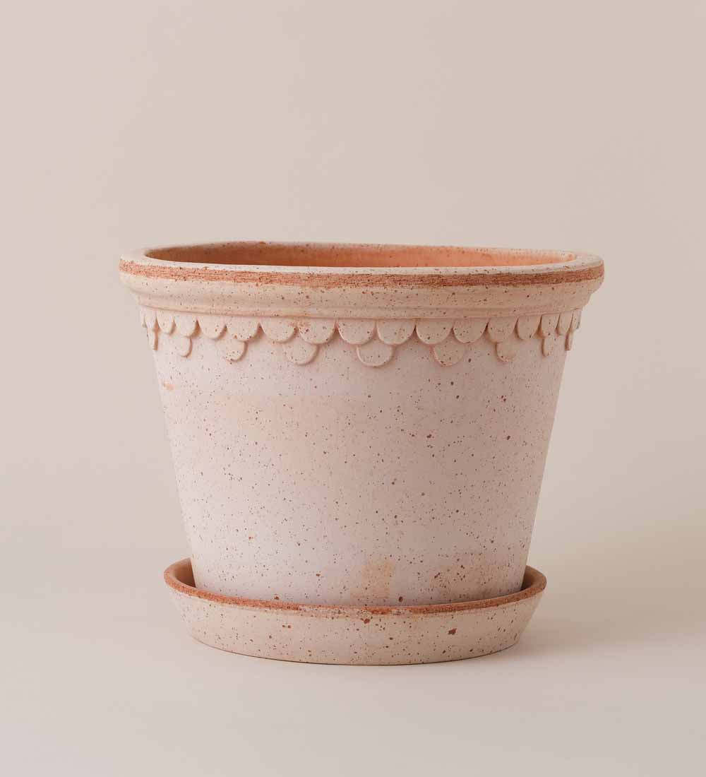 Rose Bergs Pot 25cm