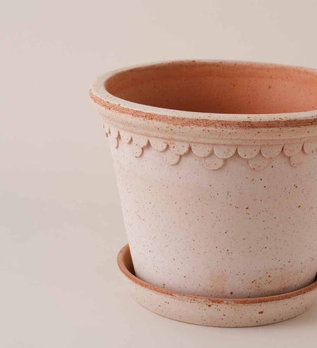Rose Bergs Pot 25cm