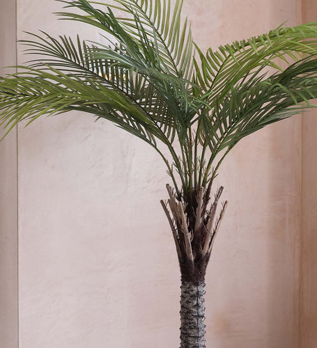 Artificial Phoenix Palm