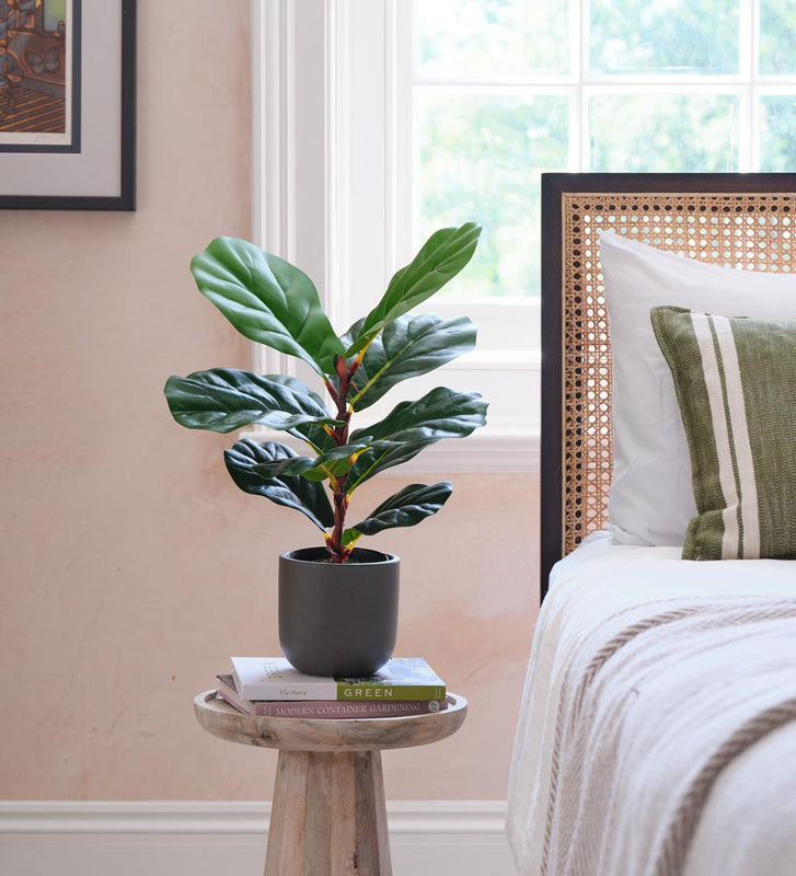 Artificial Fiddle-leaf Fig