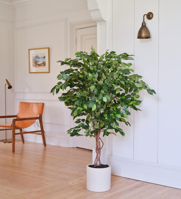 african fig indoor plant Artificial African Fig Tree