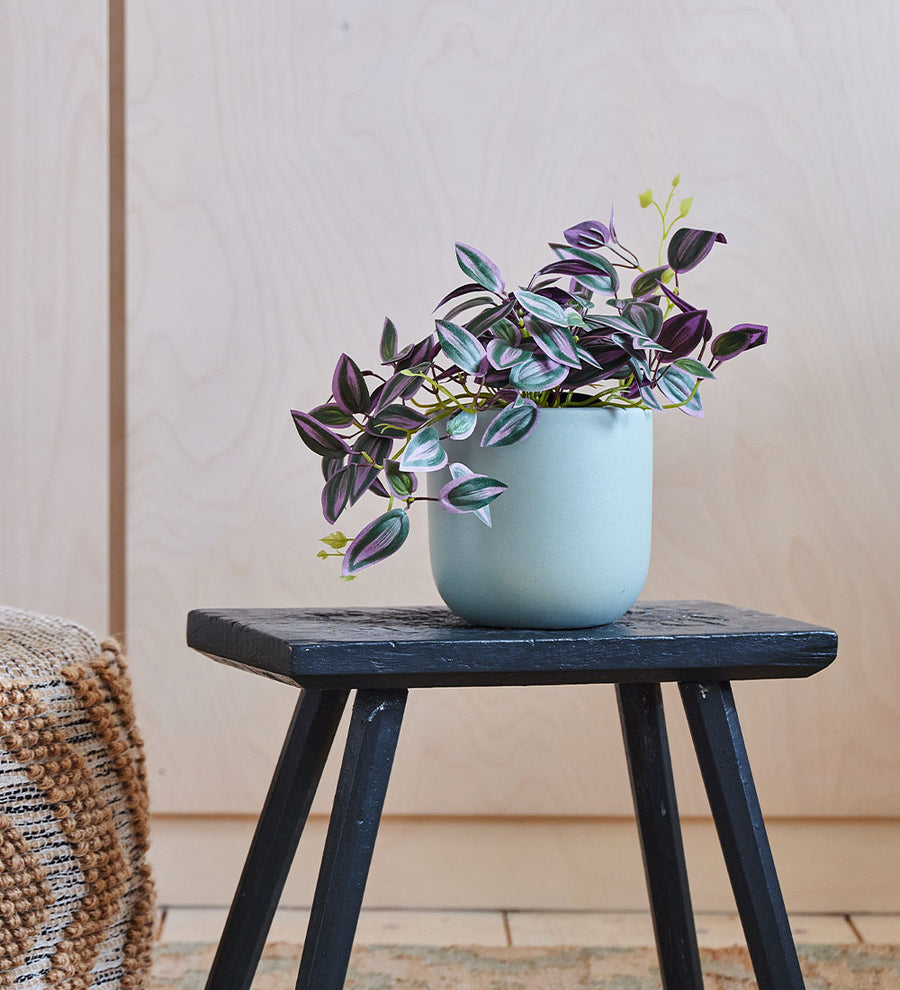 Artificial Tradescantia