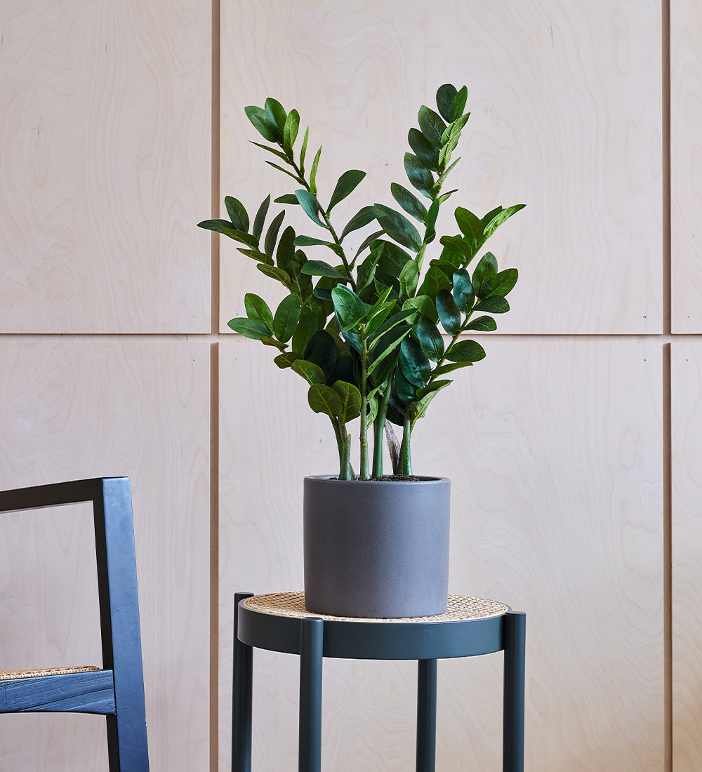 Artificial Graphite Earthenware XL Bundle