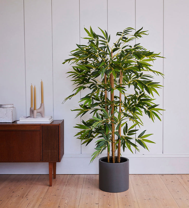 Artificial Oyster Earthenware XL Bundle