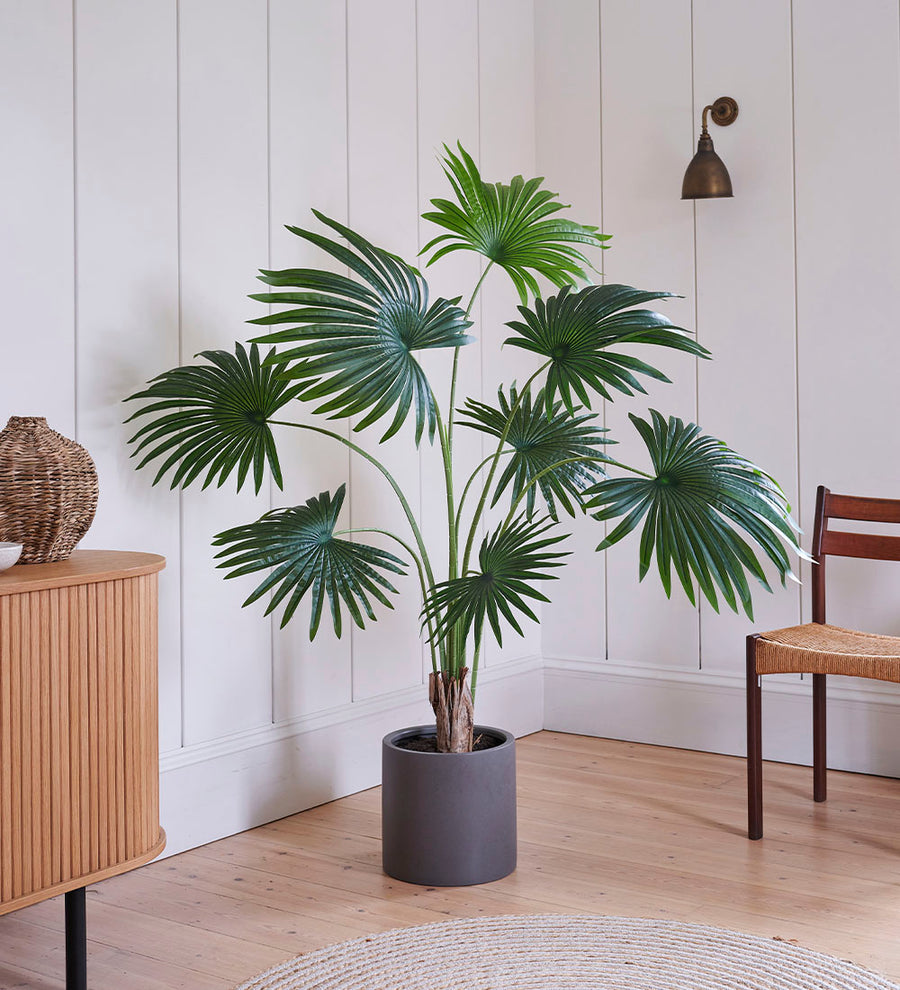 Artificial Livistona Palm