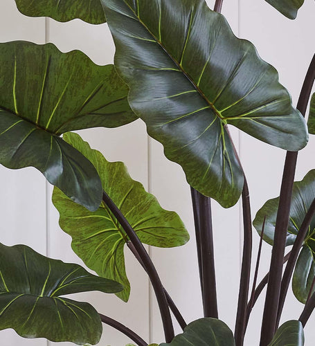 Artificial Alocasia Colocasia