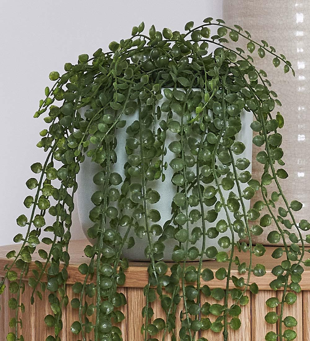 Artificial Ficus Pumila Hanging