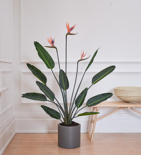 Artificial Flowering Bird of Paradise