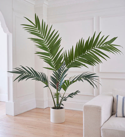 Artificial Kentia Palm