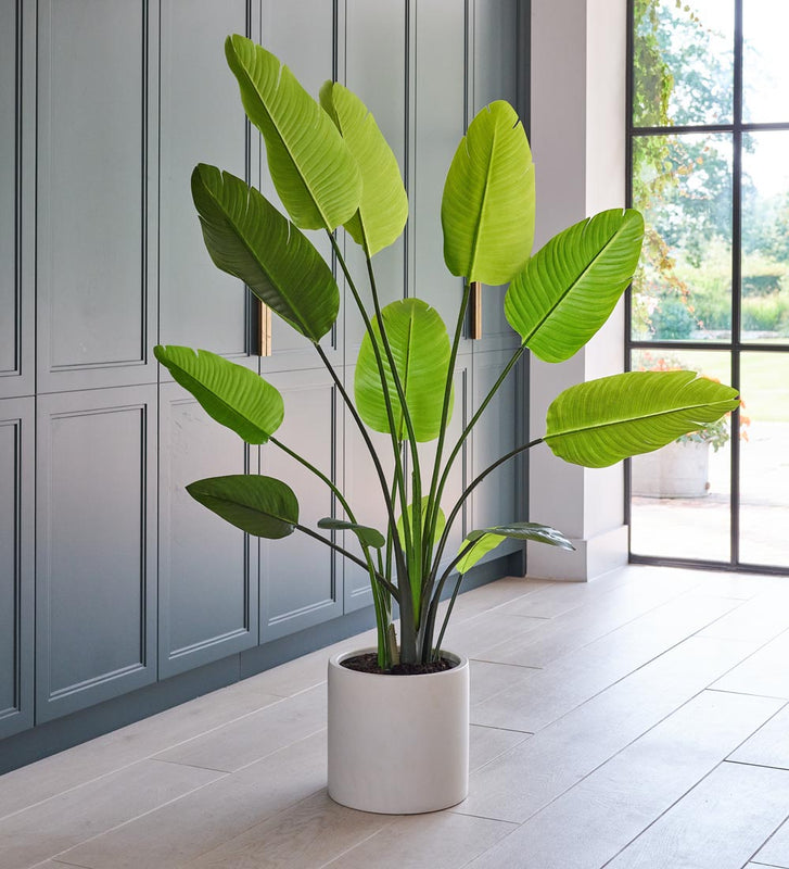 Artificial Large Bird of Paradise