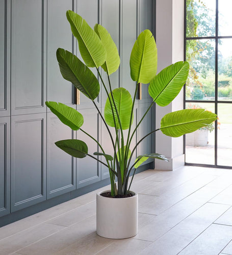 Artificial Graphite Earthenware XL Bundle