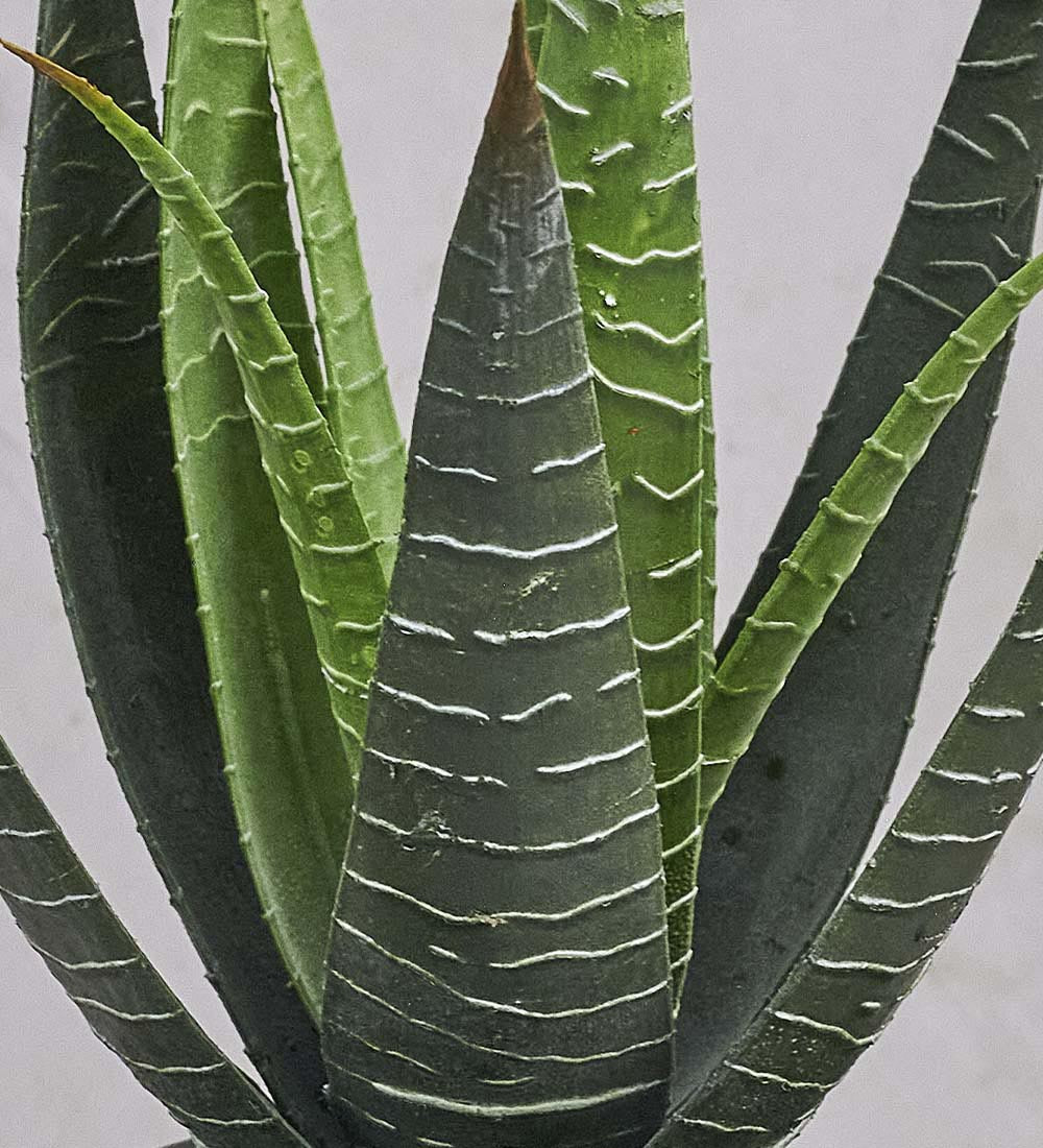 artificial aloe vera plant Artificial Aloe Vera