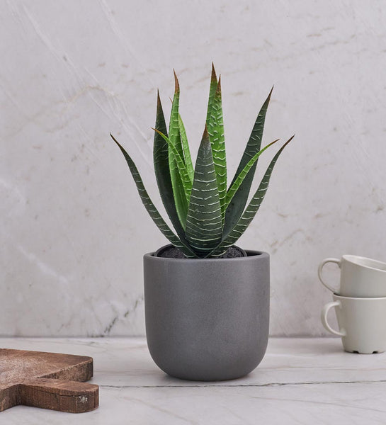 artificial aloe vera plant in pot Artificial Aloe Vera