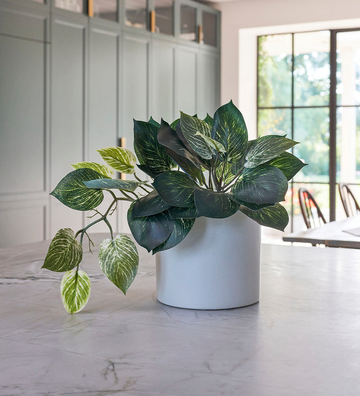 artificial pothos plant Artificial Pothos