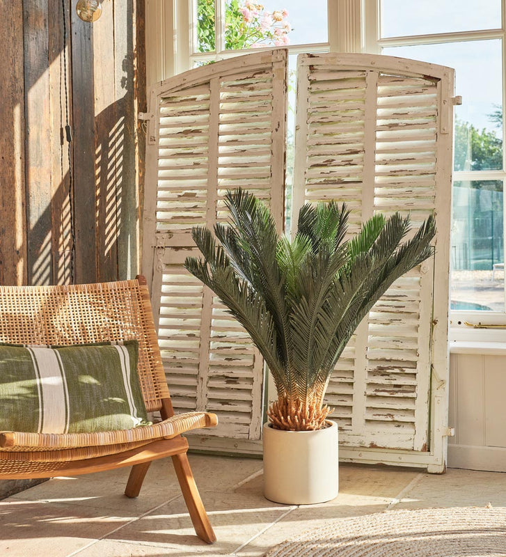 Artificial Sago Palm