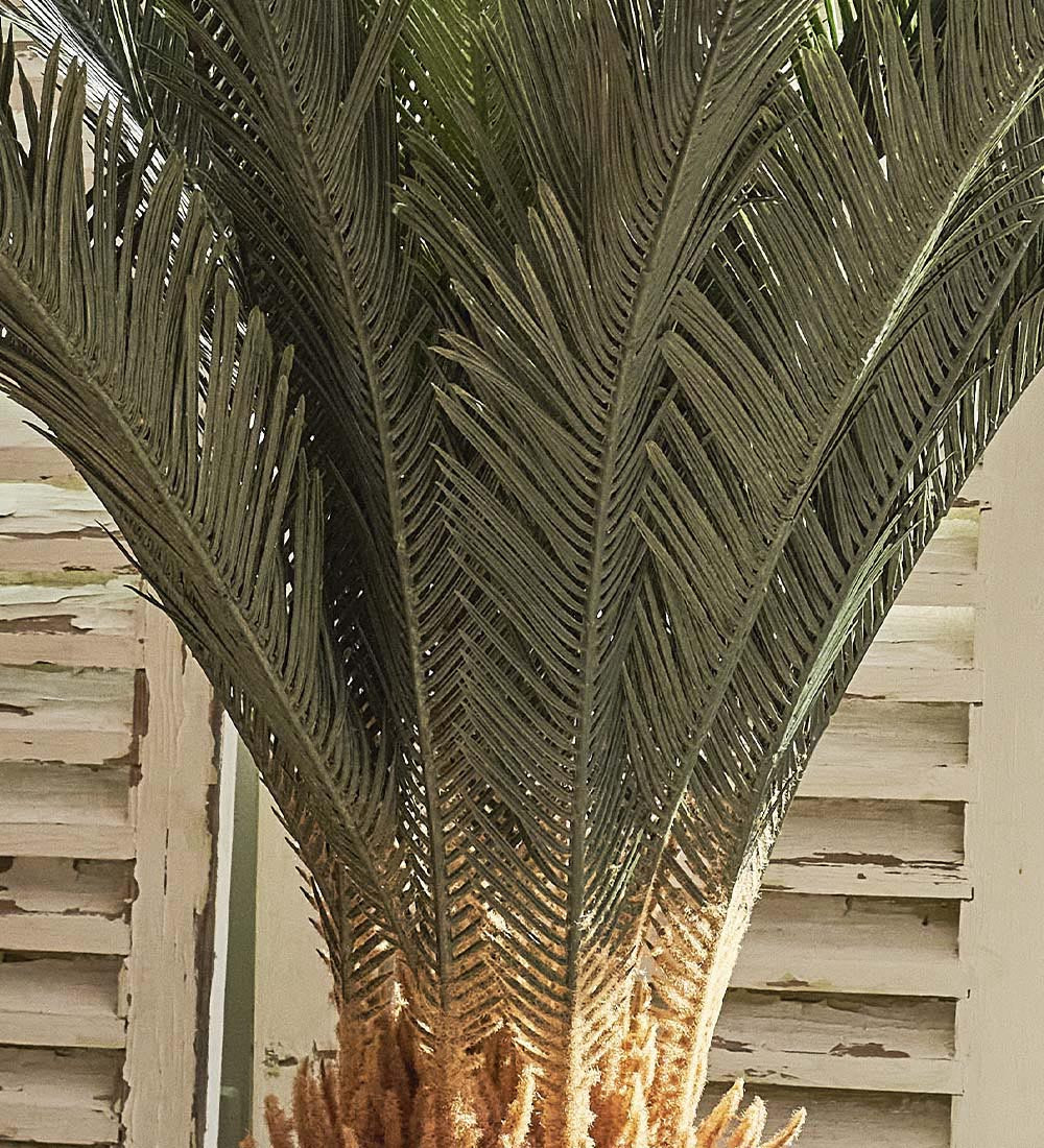 faux sago palm plant Artificial Sago Palm