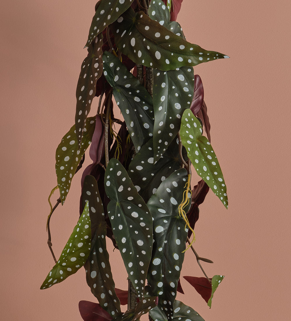 Artificial Begonia Maculata