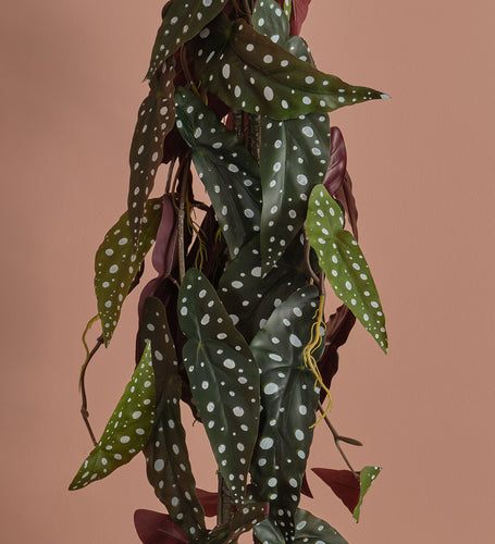 Artificial Begonia Maculata