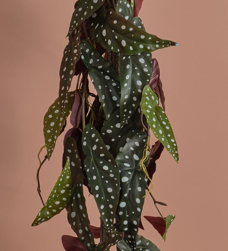 Artificial Begonia Maculata