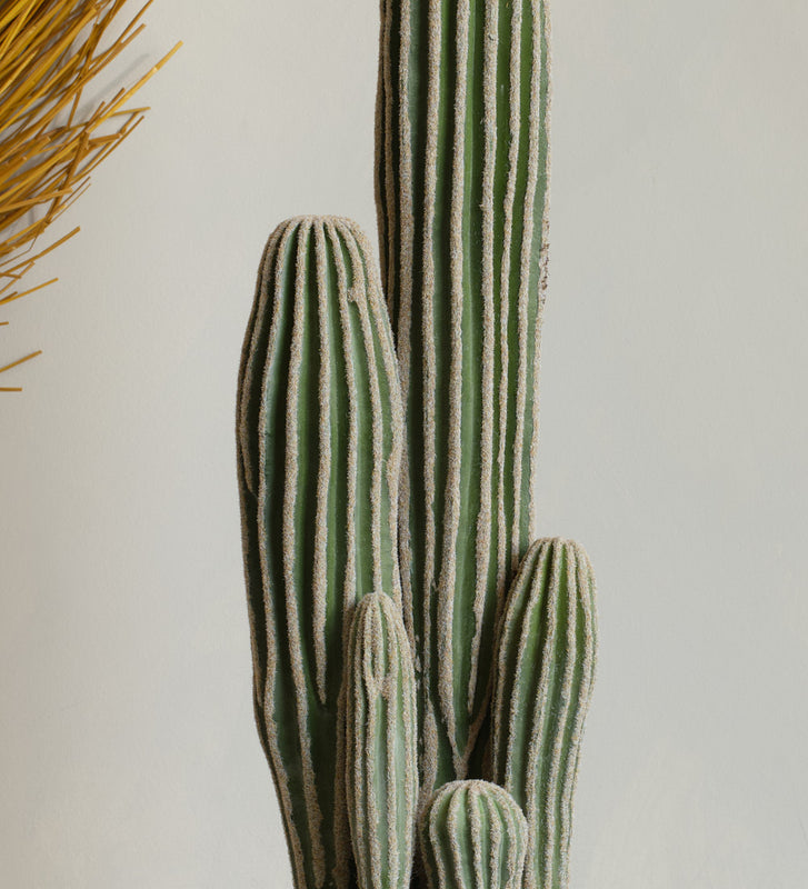 san pedro cactus legal uk Artificial San Pedro Cactus