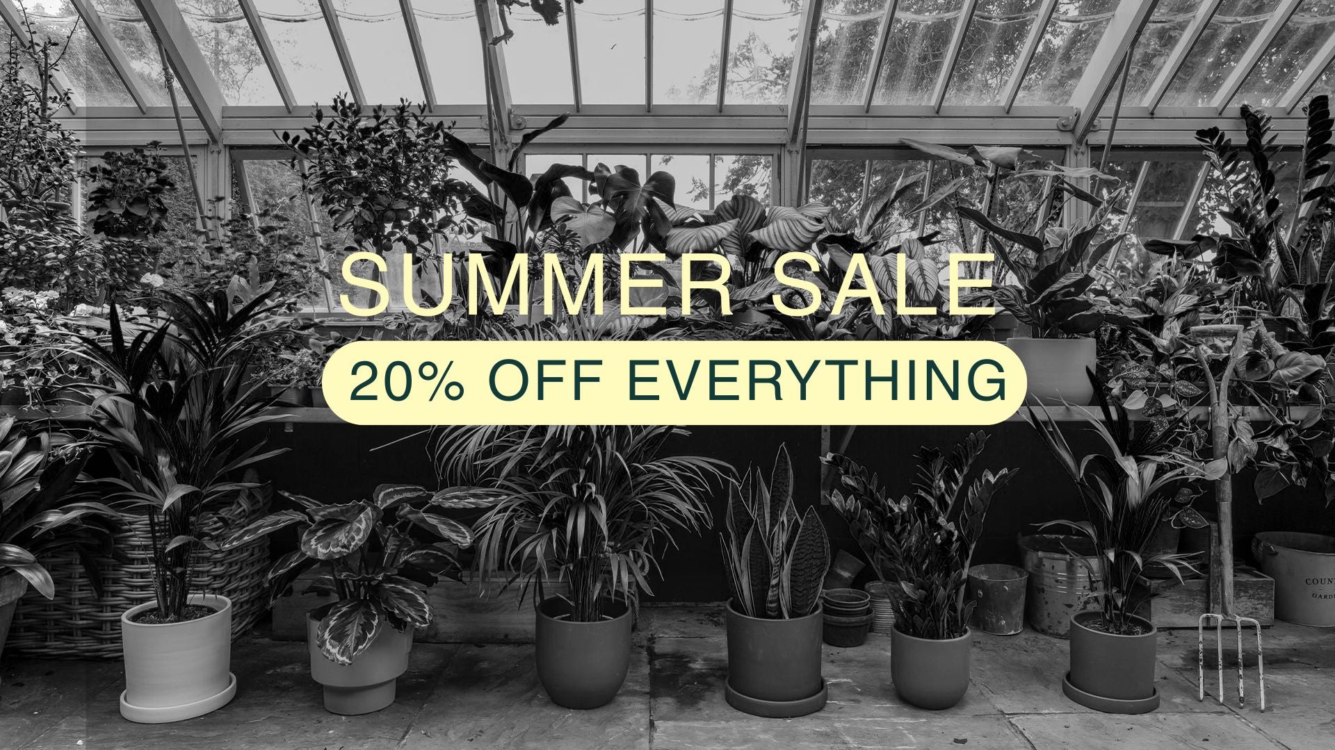 summer sale