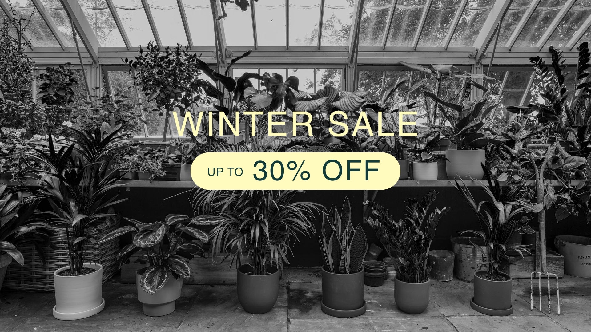 Up to 30% off
