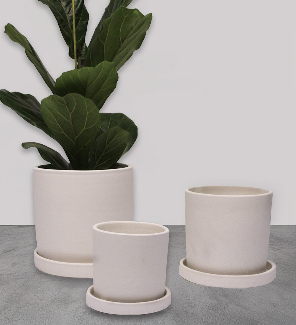 Chalk Dalston Pot