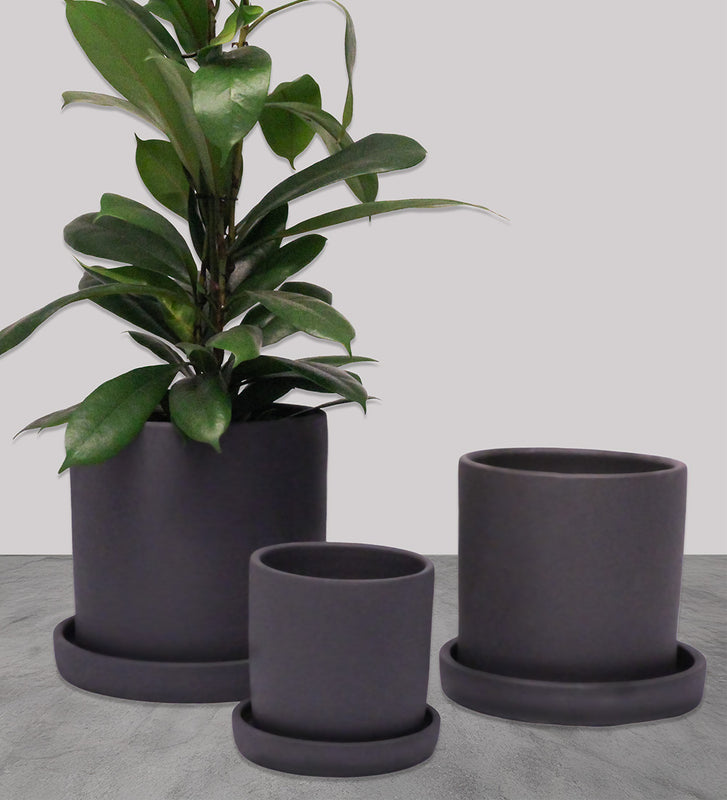 Charcoal Dalston Pot