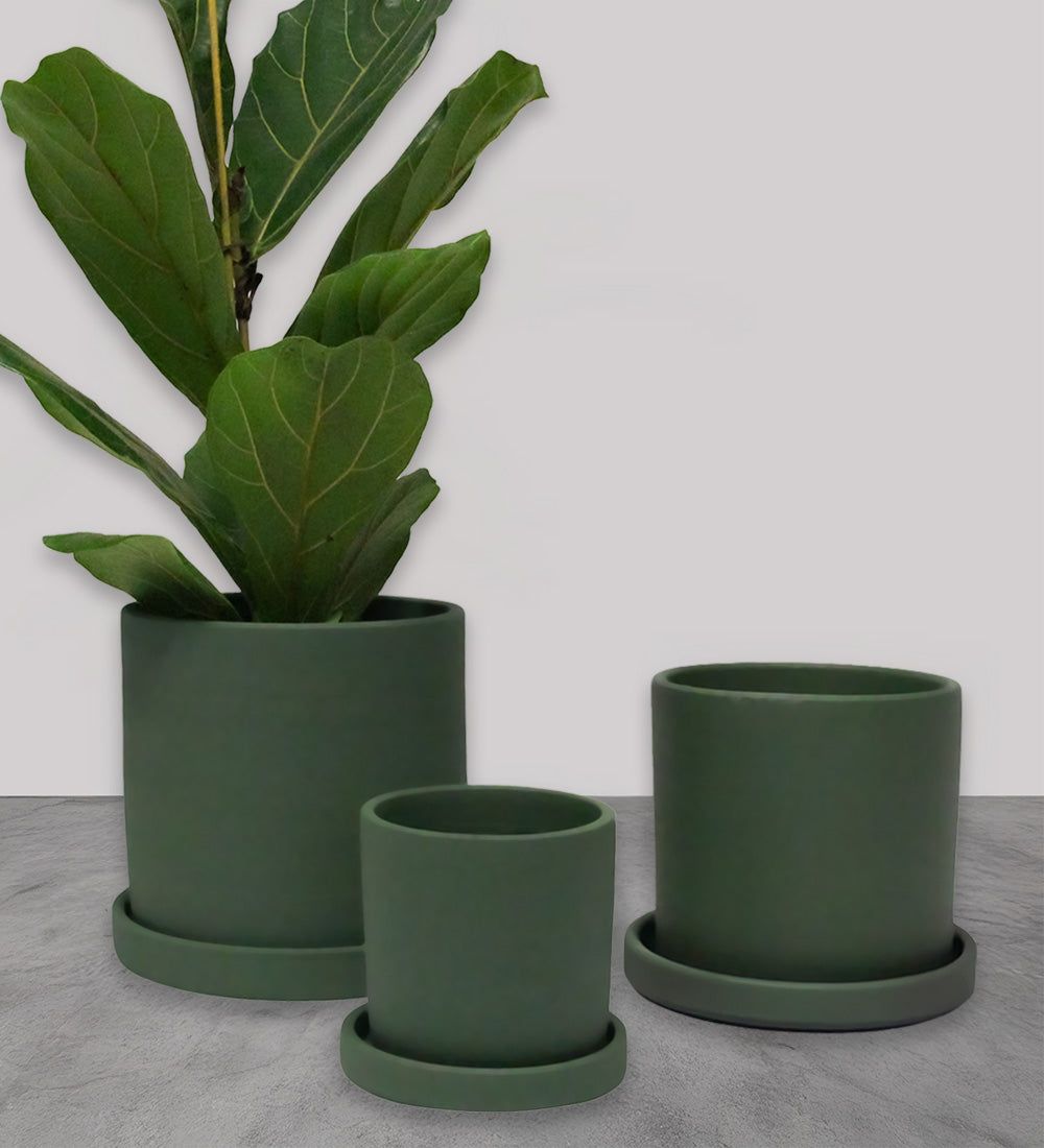Sea Spray Dalston Pot
