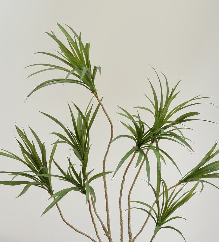 dracaena trunk Artificial Dracaena Multi-trunk