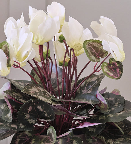 Artificial White Cyclamen