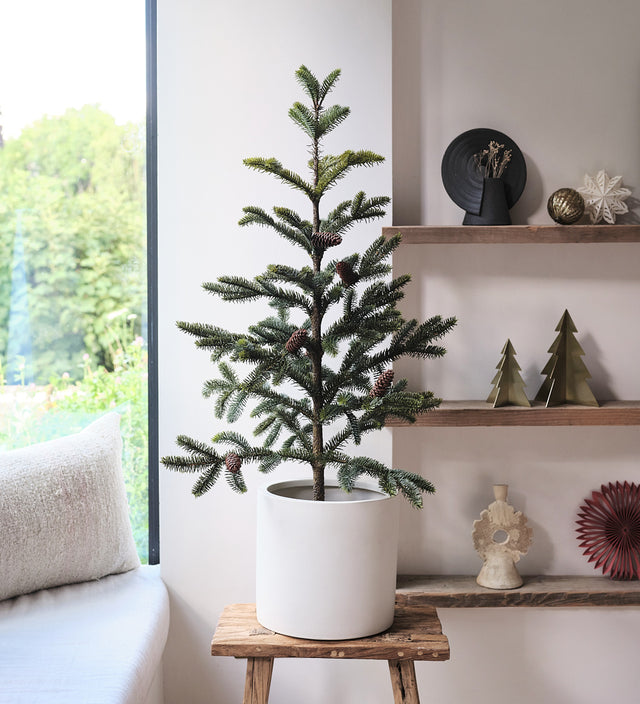 3ft Artificial Norfolk Pine with Cones