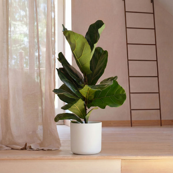 White Elho Matt 18cm