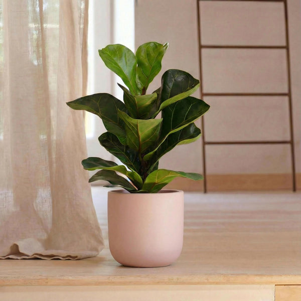 Pink Earthenware 14cm