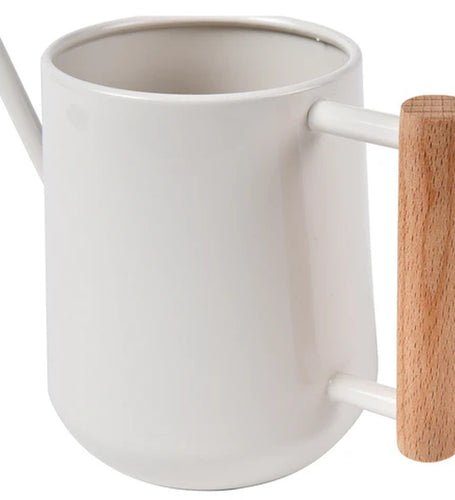 Stone Watering Can