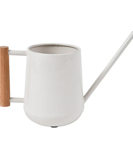 Stone Watering Can